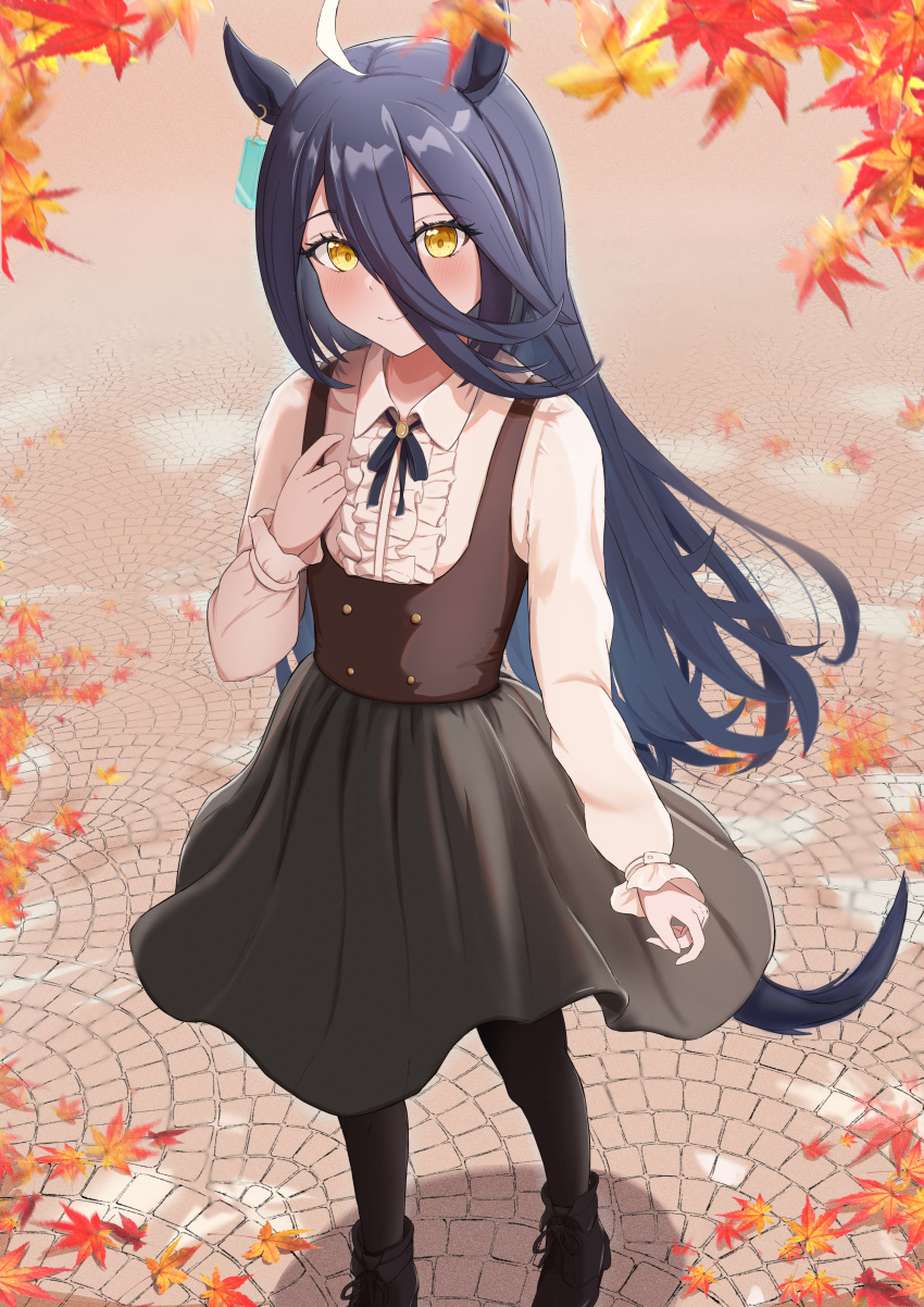 absurdres, ahoge, alternate_costume, animal_ears, autumn_leaves, black_footwear, black_hair, black_pantyhose, black_ribbon, blush, center_frills, ear_piercing, earrings, frilled_shirt, frills, grey_skirt, hair_between_eyes, highres, hojichabu, horse_ears, horse_girl, horse_tail, jewelry, leaf, long_bangs, long_hair, long_sleeves, looking_at_viewer, manhattan_cafe_(umamusume), maple_leaf, multicolored_hair, neck_ribbon, pantyhose, piercing, ribbon, shirt, single_earring, skirt, smile, tail, two-tone_hair, umamusume, white_hair, white_shirt, yellow_eyes