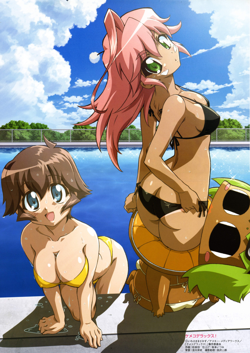 ass, bikini, black_eyes, blue_eyes, brown_hair, erect_nipples, fixed, green_eyes