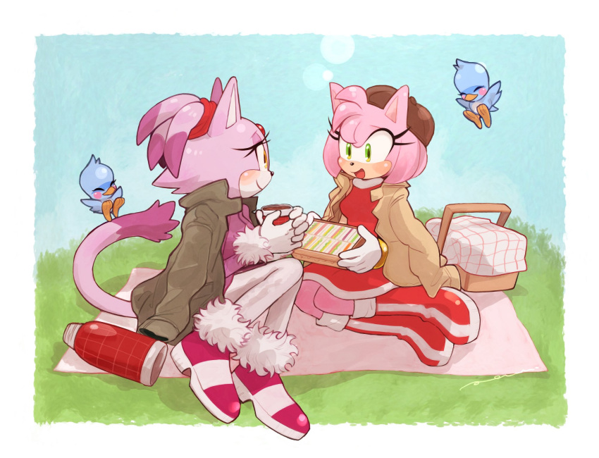 2girls, amy_rose, animal_ears, blaze_the_cat, blue_sky, blush, cat_ears, cat_girl