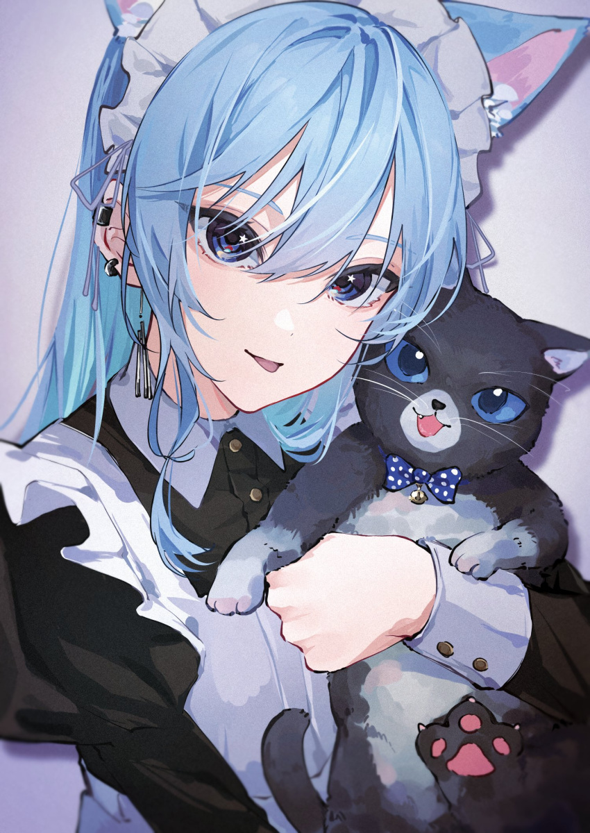 1girl, animal, animal_ears, bell, black_cat, blue_bow, blue_eyes, blue_hair