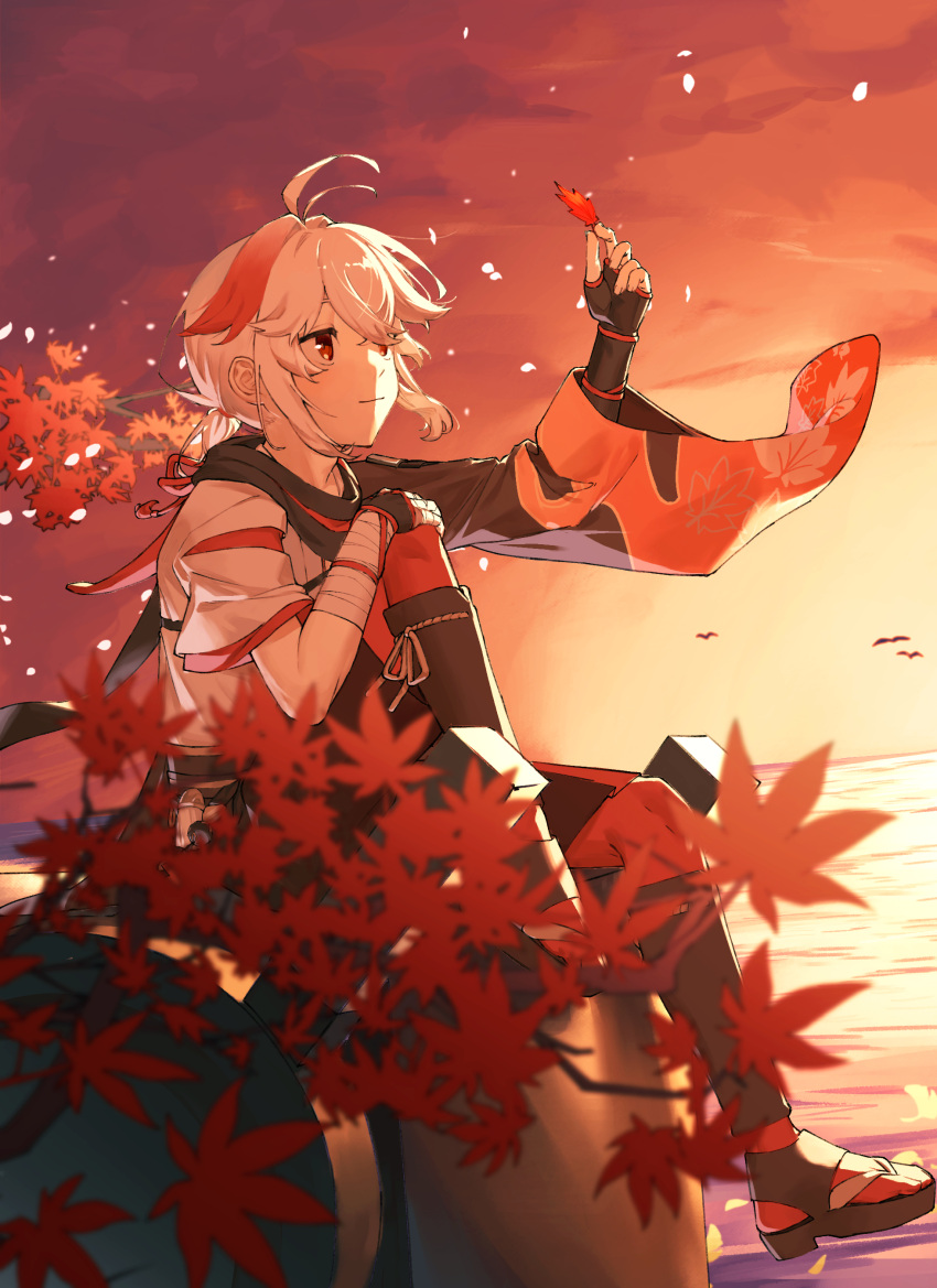 1boy, absurdres, bandaged_hand, bandages, bird, black_gloves, closed_mouth, evening