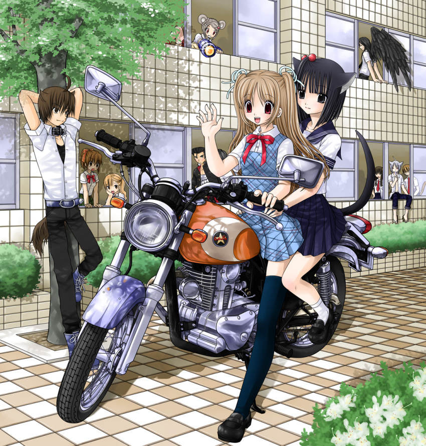animal_ears, belt, black_eyes, black_hair, black_legwear, black_thighhighs, black_wings, blonde_hair