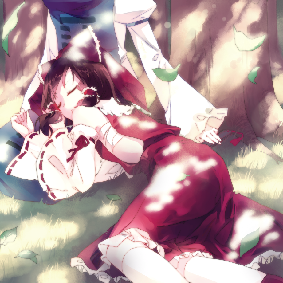 hakurei_reimu, lap_pillow, multiple_girls, sleeping, touhou, yakumo_yukari, zeko