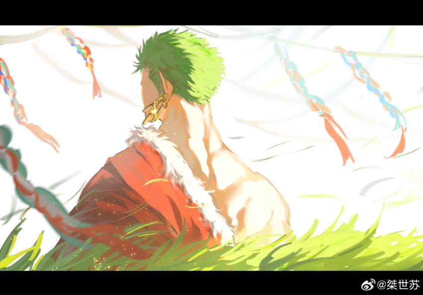 1boy, alternate_costume, earrings, facing_away, from_behind, grass, green_hair, hadanugi_dousa