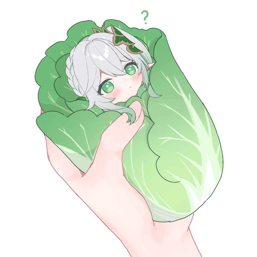 1girl, 1other, ?, braid, cabbage, cabbage_swaddle, crown_braid, food, genshin_impact, gradient_hair, green_eyes, hair_between_eyes, hair_ornament, highres, holding, holding_food, holding_vegetable, leaf_hair_ornament, long_hair, looking_at_viewer, mixed-language_commentary, mochi_mochi052, multicolored_hair, nahida_(genshin_impact), out_of_frame, pointy_ears, pov, pov_hands, side_ponytail, sidelocks, simple_background, single_braid, streaked_hair, symbol-shaped_pupils, two-tone_hair, vegetable, white_background, white_hair