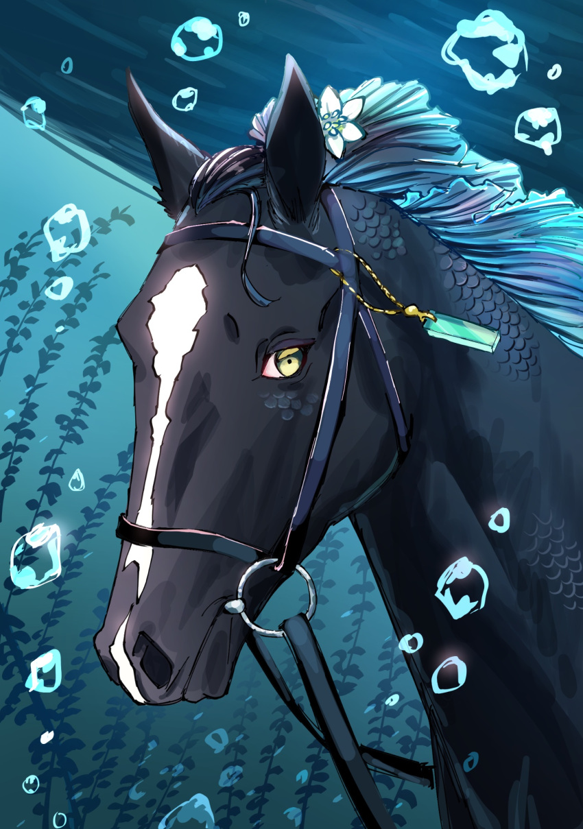 bridle, bubble, cosplay, flower, flower_request, highres, horse, kelp