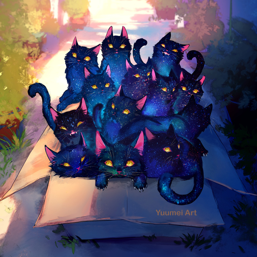 6+others, animal_focus, artist_name, box, bush, cardboard_box, cat, claws, day, english_commentary, highres, in_box, in_container, looking_at_viewer, multiple_others, no_humans, original, outdoors, sky, space, space_cat_(yuumei), star_(sky), starry_sky, starry_sky_print, whiskers, yellow_eyes, yuumei