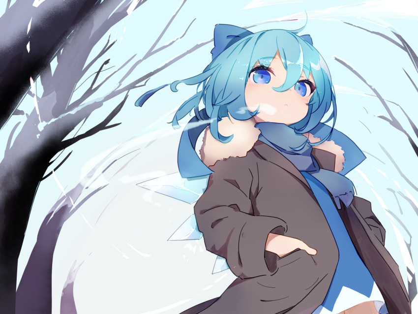 1girl, bare_tree, blue_bow, blue_dress, blue_eyes, blue_hair, blue_scarf, blush