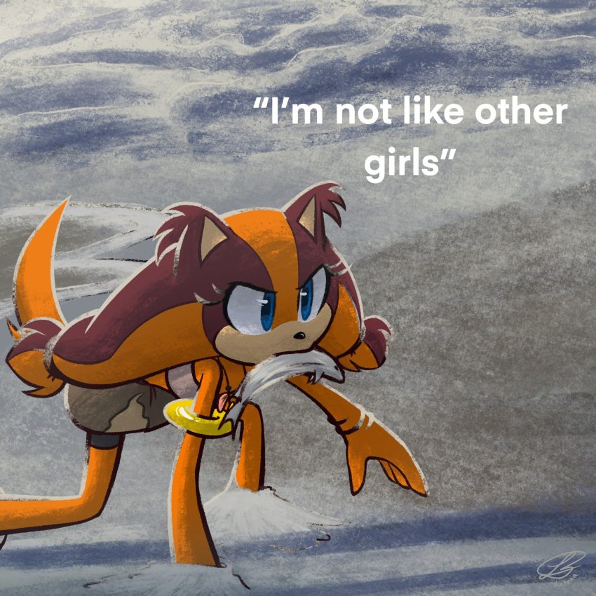1girl, animal_ears, animal_nose, armlet, badger, badger_ears, badger_tail, beach