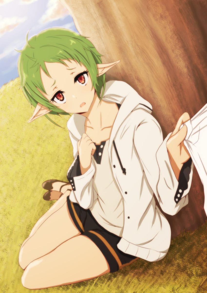 1girl, black_shorts, elf, green_hair, highres, hood, hooded_jacket, jacket, looking_at_viewer, mushoku_tensei, on_grass, pepejii, pointy_ears, pov, red_eyes, shirt, shirt_tug, short_hair, shorts, solo, sylphiette_(mushoku_tensei), tree, white_jacket, white_shirt