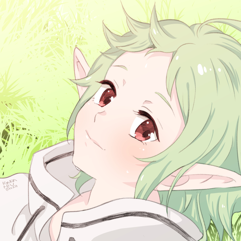 1girl, closed_mouth, day, elf, green_hair, hood, hooded_jacket, izane