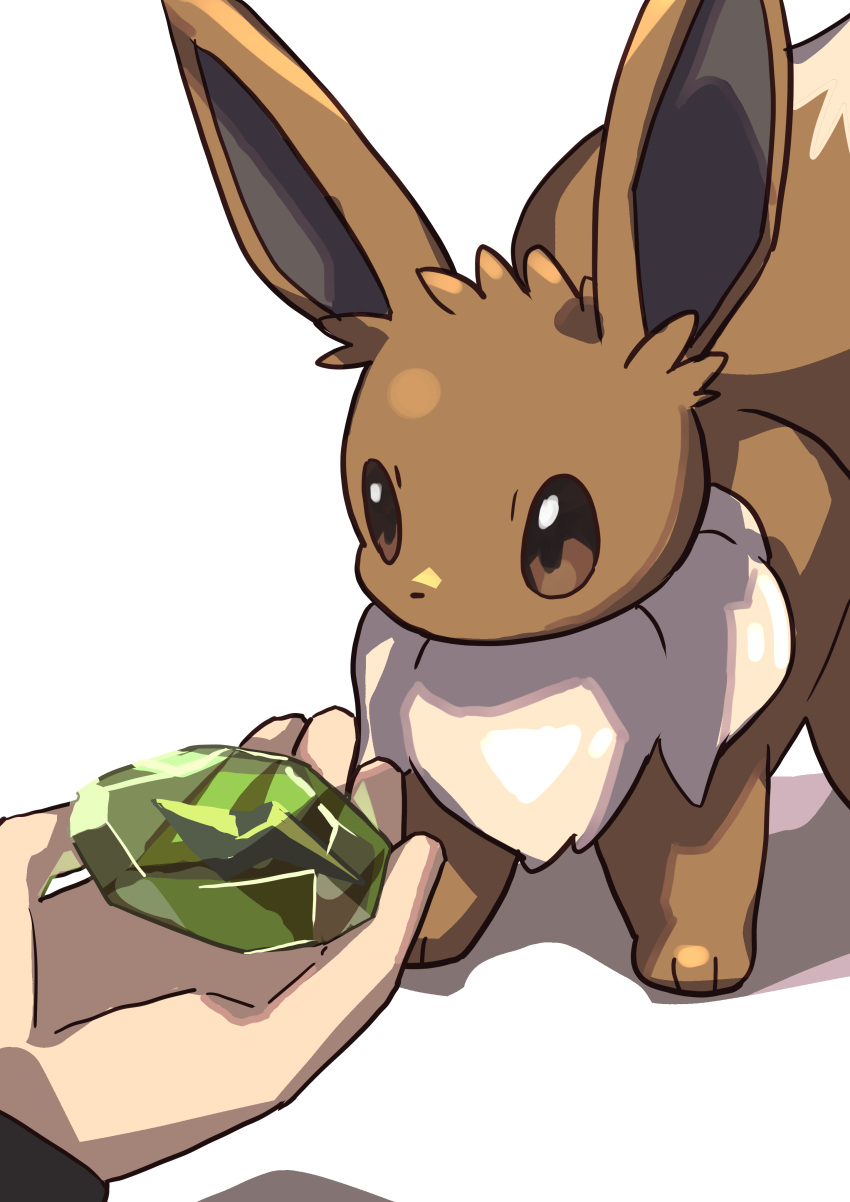 1other, absurdres, black_shirt, brown_eyes, brown_fur, commentary, eevee, evolutionary_stone