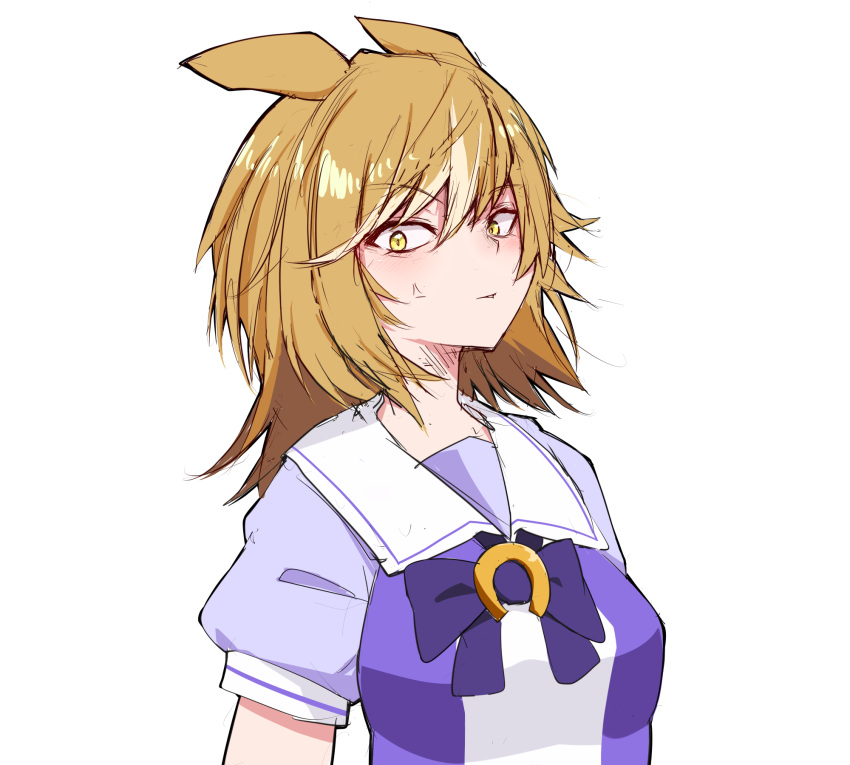 1girl, anger_vein, animal_ears, blonde_hair, bow, bowtie, commentary_request, ears_back, glaring, golden_sash_(racehorse), hair_between_eyes, highres, horse_ears, horse_girl, light_brown_hair, long_hair, messy_hair, okumari, original, personification, puffy_short_sleeves, puffy_sleeves, purple_bow, purple_bowtie, purple_shirt, sailor_collar, sailor_shirt, sanpaku, school_uniform, shirt, short_sleeves, sideways_glance, simple_background, sketch, solo, summer_uniform, tracen_school_uniform, umamusume, upper_body, white_sailor_collar, yellow_eyes