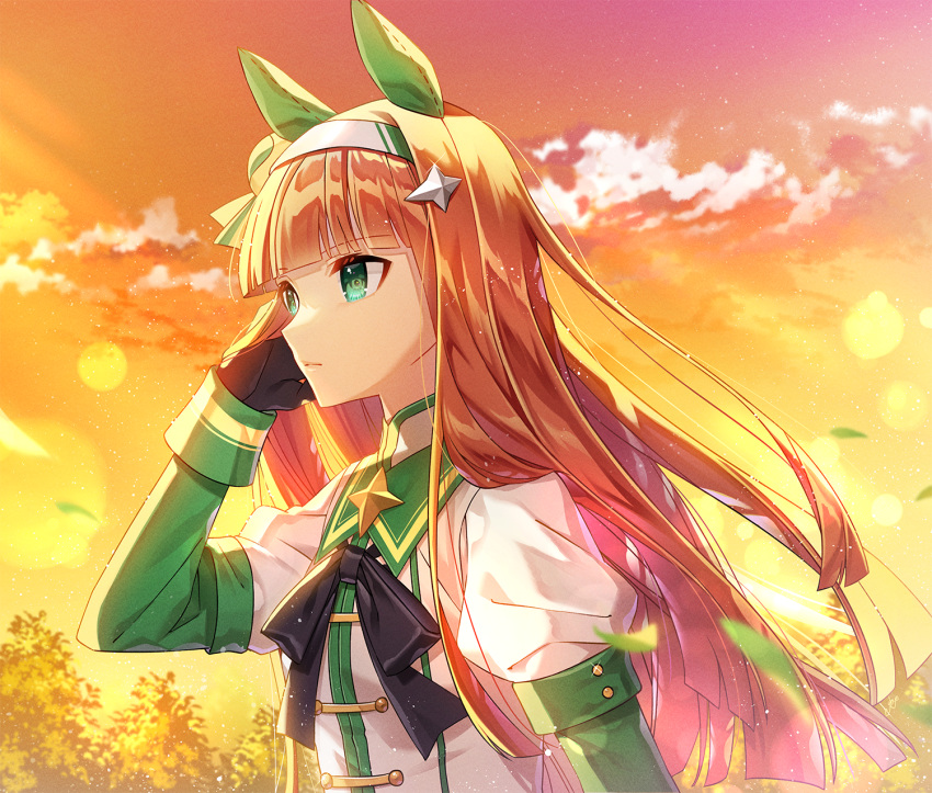 1girl, animal_ears, black_gloves, black_ribbon, blunt_bangs, closed_mouth, clouds, cloudy_sky