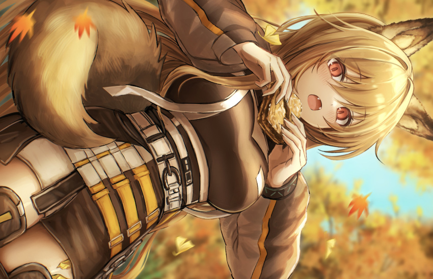 1girl, 3_(sanyako1), absurdres, animal_ears, arknights, autumn_leaves, baklava, black_dress