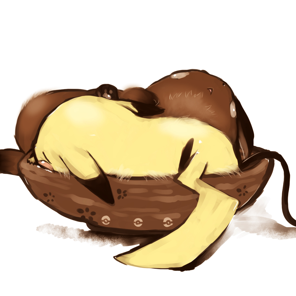 bowl, fur, hairy_pikachu, peaceful, pikachu, pokemon, pokemon_(creature), raichu