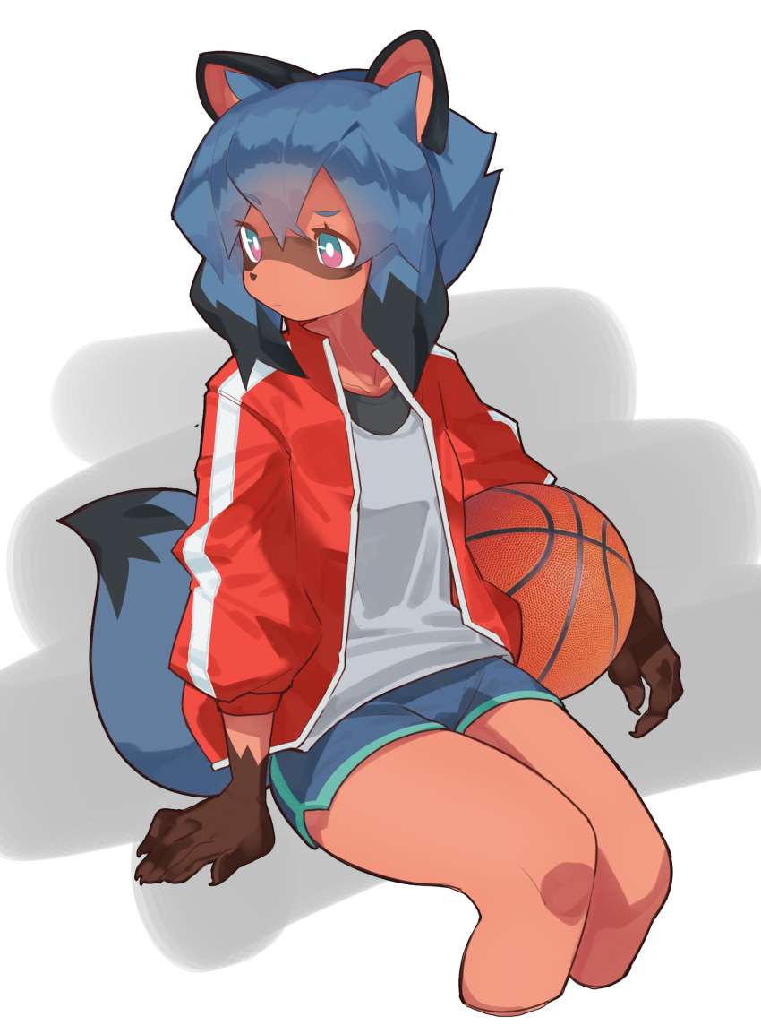 1girl, absurdres, animal_ears, animal_nose, ball, basketball, black_hair, blue_eyes