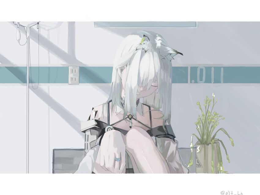 1girl, animal_ears, arknights, ay4_la, bench, cat_ears, closed_eyes, commentary