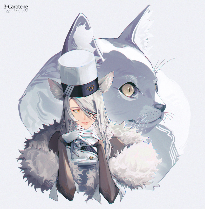 1girl, arknights, brown_sleeves, cat, commentary, cropped_torso, english_commentary, fur_collar