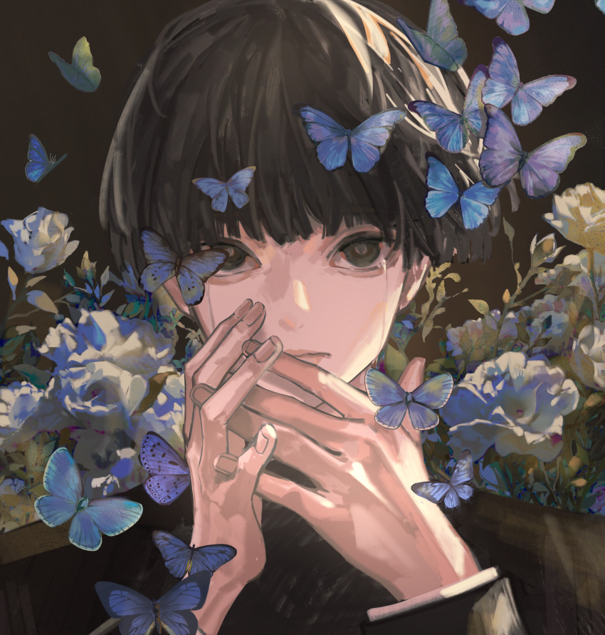 1boy, absurdres, black_background, black_eyes, black_hair, blue_butterfly, blunt_bangs, bowl_cut