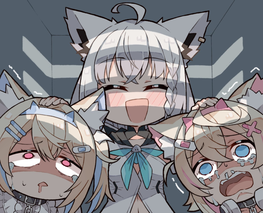 3girls, ahoge, animal_ear_fluff, animal_ears, bandaid_hair_ornament, black_collar, blonde_hair, blue_brooch