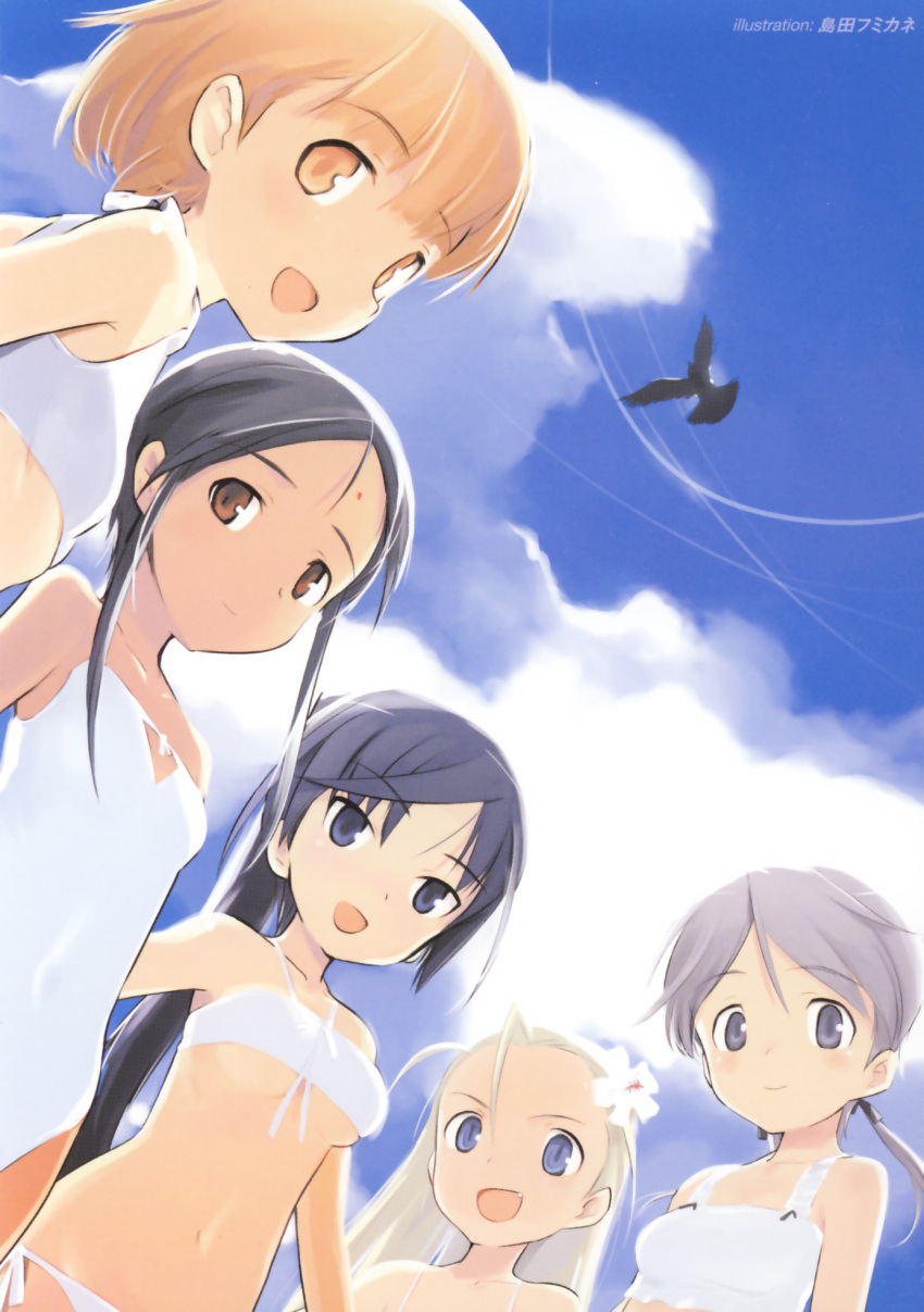 aesha_krishnam, bare_shoulders, bikini, bird, black_hair, blonde_hair, blue_eyes, breasts, brown_eyes, cloud, clouds, elise_von_dietrich, facial_mark, fang, flat_chest, flower, from_below, grey_hair, hair_flower, hair_ornament, highres, ichijo_eika, ichijou_eika, long_hair, multiple_girls, navel, official_art, one-piece_swimsuit, open_mouth, orange_eyes, orange_hair, ponytail, sakurano_otoha, scan, shimada_fumikane, short_hair, side-tie_bikini, sky, sky_girls, smile, sonomiya_karen, standing, swimsuit, twintails, under_boob, underboob