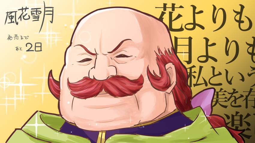 1boy, absurdres, bald, closed_eyes, facial_hair, facing_to_the_side, fire_emblem, fire_emblem:_radiant_dawn