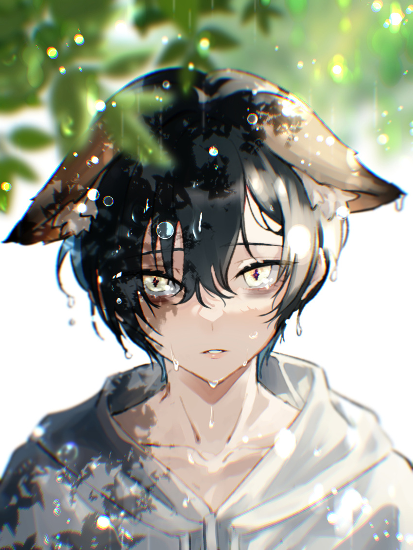 1boy, animal_ears, bags_under_eyes, bishounen, black_hair, crying, dog_boy, dog_ears, highres, jacket, limbus_company, male_focus, outdoors, project_moon, rain, short_hair, solo, tree, upper_body, white_jacket, y0ru73, yellow_eyes, yi_sang_(limbus_company)