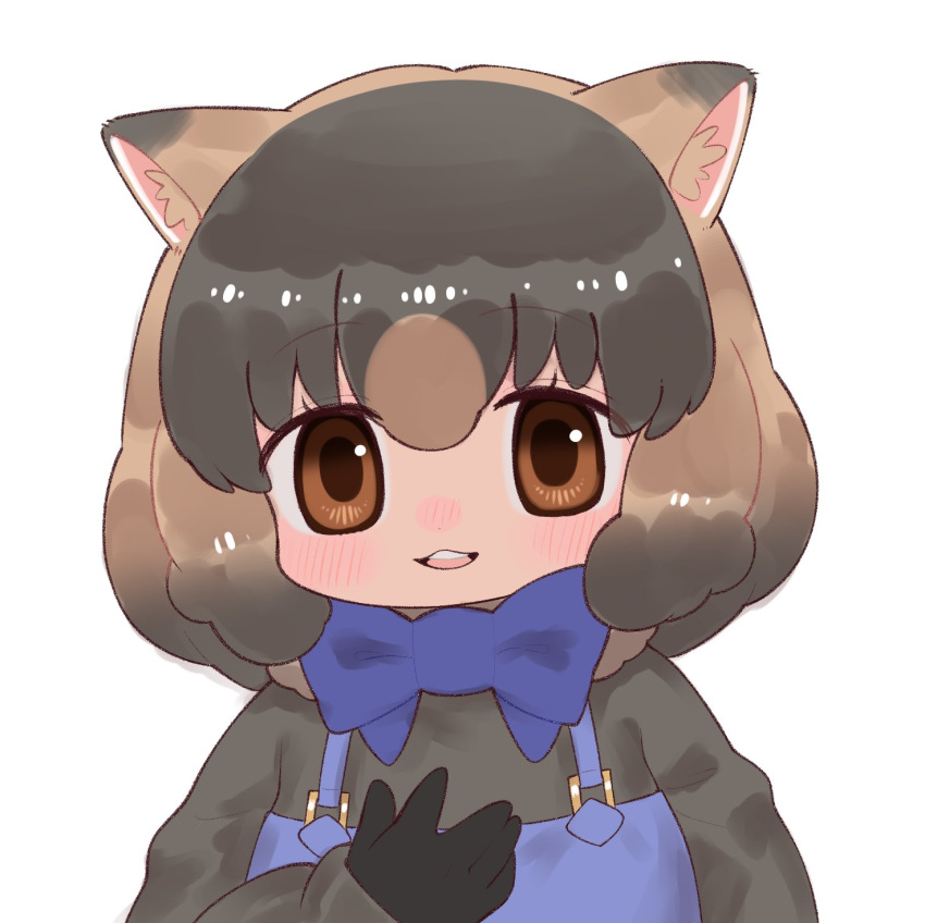 1girl, animal_ears, black_hair, blush, bow, bowtie, brown_eyes, brown_hair