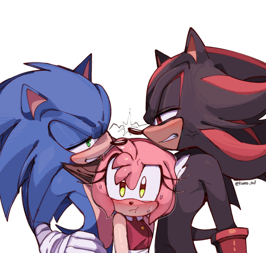 :t, amy_rose, anger_vein, angry, animal_ears, artist_name, black_fur, blush