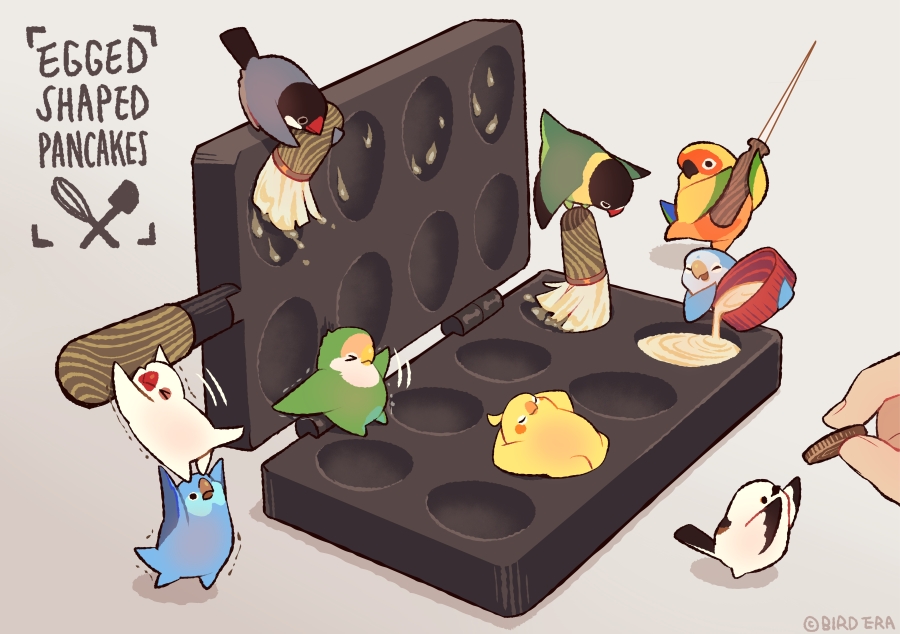 animal, animal_focus, beak, bird, bottle_cap, cockatiel, conure, cooking