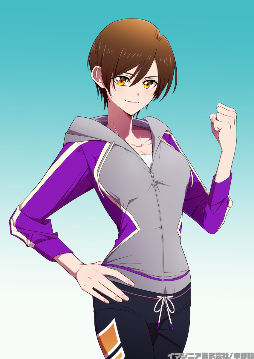1girl, brown_hair, fitness_boxing, grey_jacket, highres, jacket, lin_(fitness_boxing), onomari546