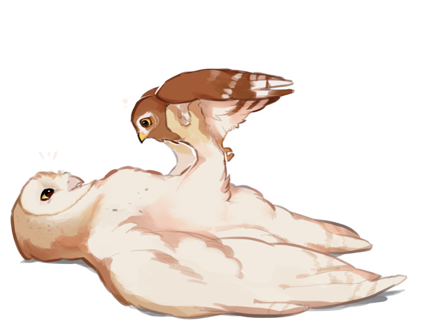 1boy, 1girl, animal, animal_focus, bird, brown_feathers, closed_mouth, feathers, fluffy, full_body, guardians_of_ga'hoole, gylfie, happy_aura, highres, holding, holding_animal, lifting_person, looking_at_another, lying, no_humans, no_sclera, on_back, open_mouth, owl, simple_background, soren_(gogh), white_background, white_feathers, wide-eyed, yellow_eyes