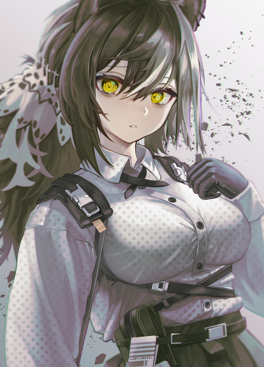 1girl, absurdres, animal_ears, arknights, bags_under_eyes, belt, belt_pouch, black_belt, black_gloves, breasts, brown_hair, chest_harness, collared_shirt, commentary, cross_tie, eabiasan, ear_piercing, freckles, gloves, grey_background, hair_between_eyes, hand_on_own_chest, harness, highres, large_breasts, long_hair, looking_at_viewer, multicolored_hair, parted_lips, piercing, polka_dot, polka_dot_shirt, ponytail, pouch, raccoon_ears, raccoon_girl, robin_(arknights), shirt, shirt_tucked_in, simple_background, solo, two-tone_hair, upper_body, white_hair, wing_collar, yellow_eyes