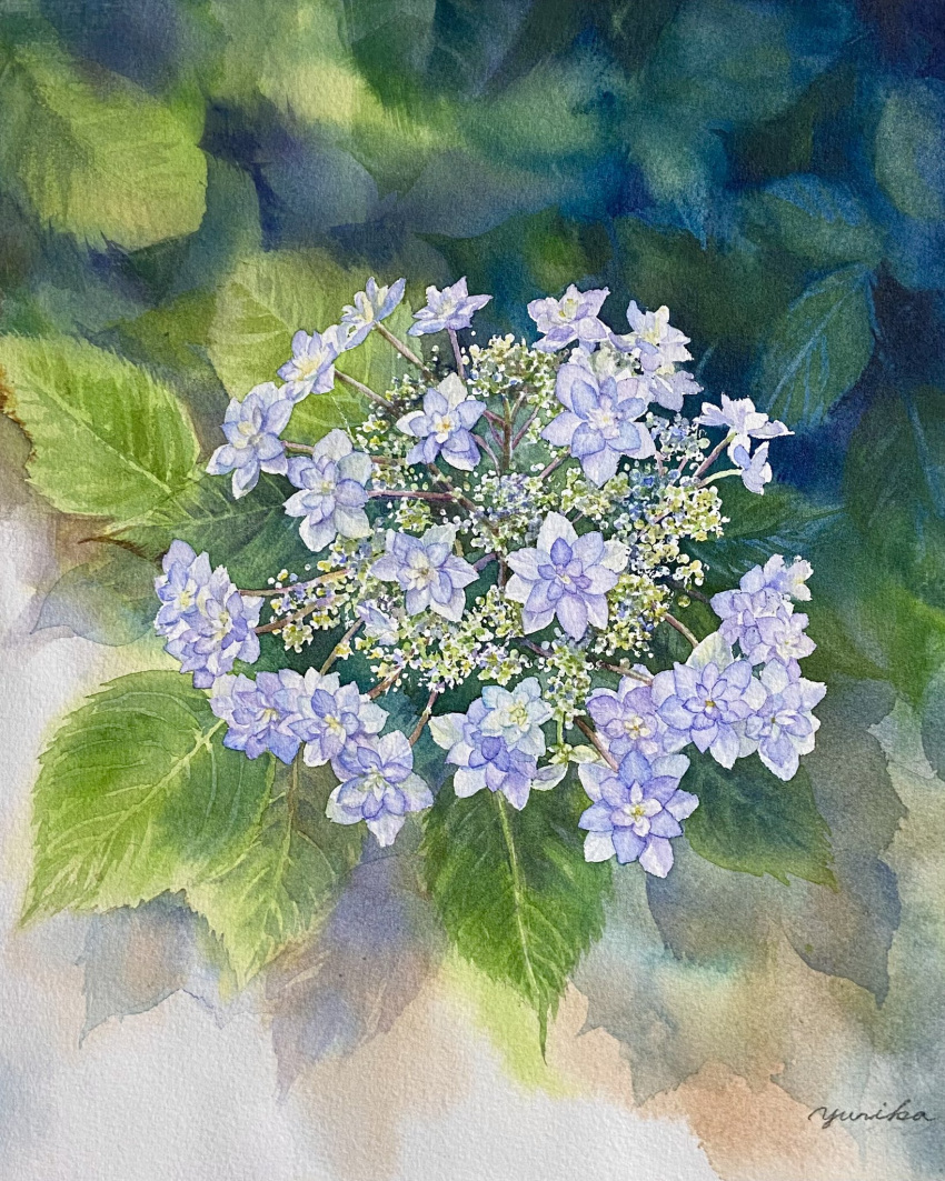 flower, highres, leaf, no_humans, ooy33151086, original, painting_(medium), plant