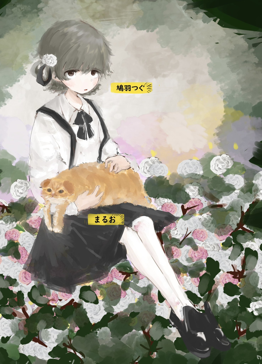 1girl, abstract_background, animal_on_lap, black_footwear, black_ribbon, black_skirt, brown_eyes, cat