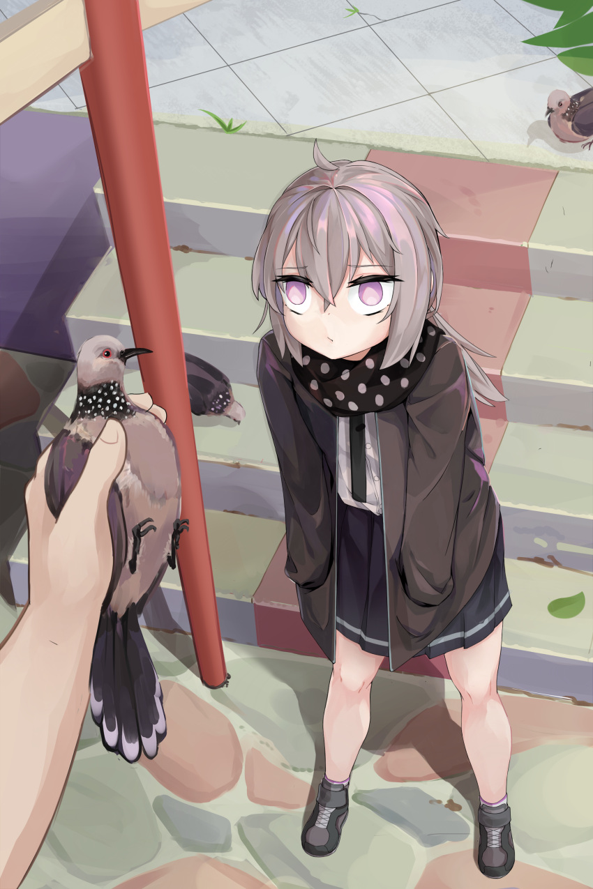 absurdres, ahoge, bird, brown_jacket, girls_frontline, hands_in_pockets, highres, jacket