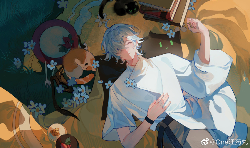 1boy, ahoge, apple, armband, black_armband, black_cat, blue_flower, book