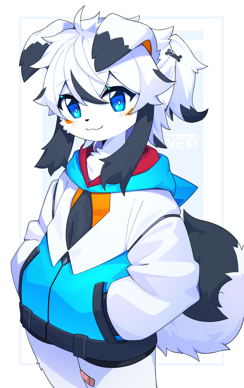 1boy, :3, absurdres, ahoge, animal_ears, animal_nose, bandaid, bandaid_on_leg, bike_shorts, black_hair, blue_background, blue_eyes, blush, body_fur, bone_hair_ornament, border, bright_pupils, closed_mouth, collarbone, commentary, cowboy_shot, dated_commentary, dev_voxy, dog_boy, dog_ears, dog_tail, facial_mark, furry, furry_male, hair_flaps, hair_ornament, hands_in_pockets, happy, highres, hood, hood_down, hooded_jacket, jacket, light_blush, long_sleeves, looking_at_viewer, male_focus, medium_hair, multicolored_clothes, multicolored_hair, multicolored_jacket, original, outside_border, ponytail, sidelocks, smile, solo, standing, tail, two-tone_hair, veri_(dev_voxy), white_border, white_fur, white_hair, white_pupils