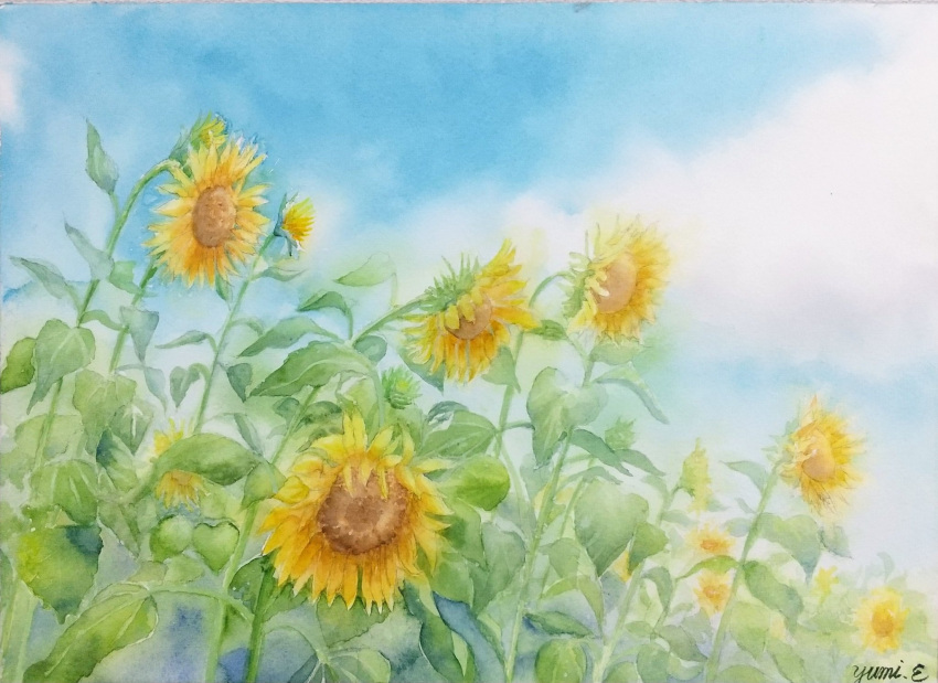 blue_sky, clouds, cloudy_sky, field, flower, flower_field, highres, miyuchan777