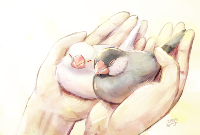 animal, bird, bird_on_hand, closed_eyes, holding, holding_animal, holding_bird, java_sparrow