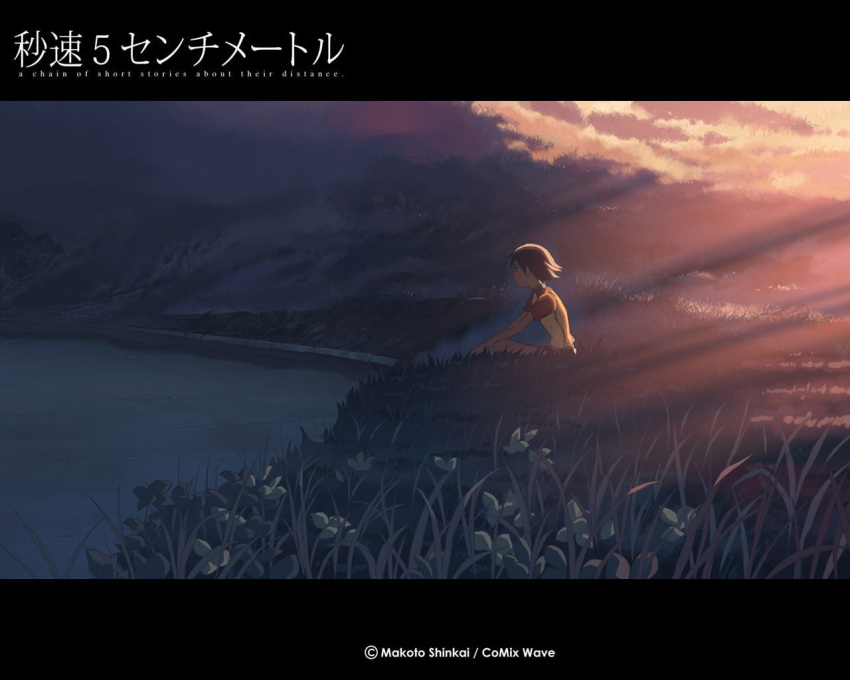 5_centimeters_per_second, byousoku_5_centimetre, shinkai_makoto, sumita_kanae