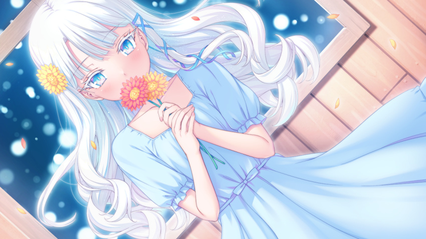 1girl, aikotoba_-silver_snow_sister-, any_(trueblue), blue_dress, blue_eyes, blue_ribbon, covering_mouth, dress