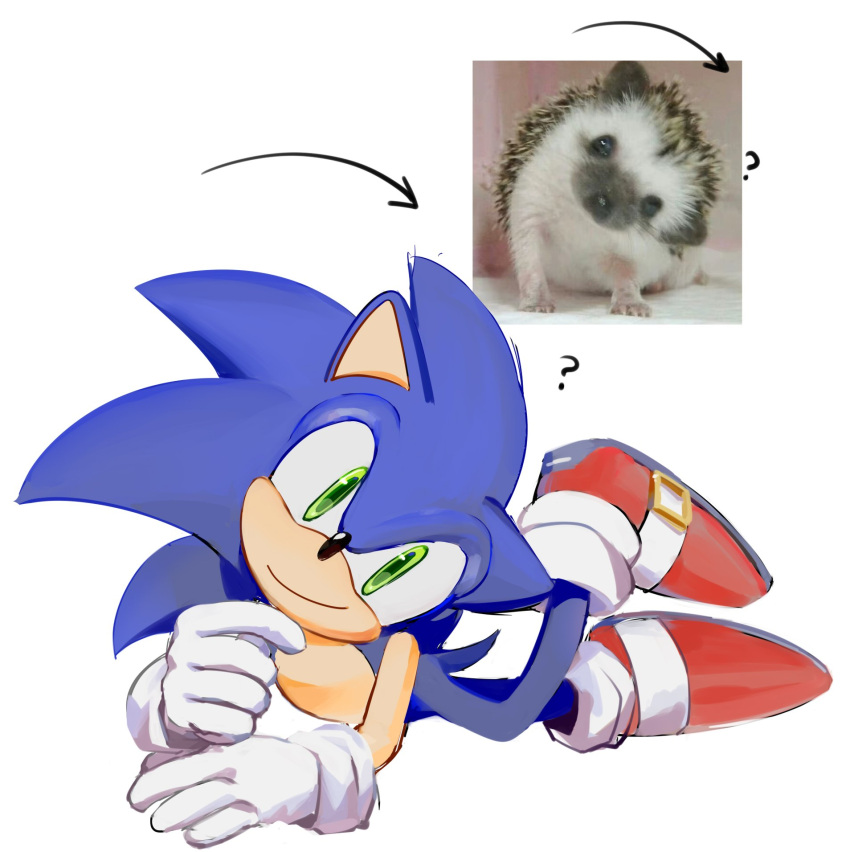 1boy, ?, animal_ears, animal_nose, arrow_(symbol), chaosrice, closed_mouth, commentary, full_body, furry, furry_male, gloves, green_eyes, head_tilt, highres, looking_at_viewer, lying, male_focus, photo-referenced, photo_inset, red_footwear, shoes, simple_background, smile, solo, sonic_(series), sonic_the_hedgehog, tail, white_background, white_gloves