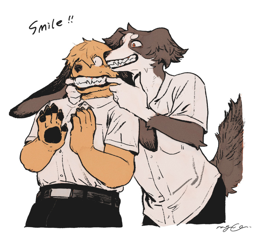 2boys, belt, black_pants, border_collie, brown_fur, claws, dog_boy, fangs