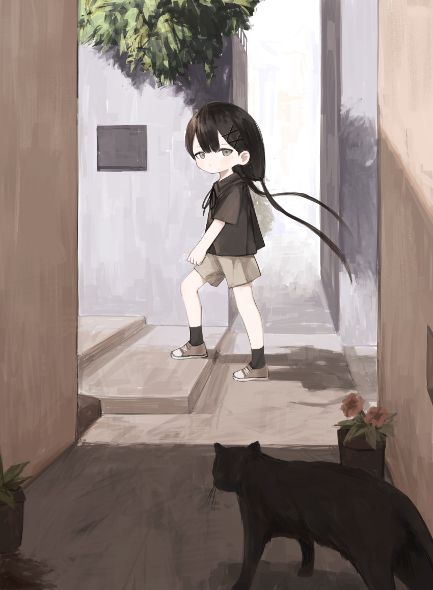 1girl, absurdres, black_cat, black_hair, black_ribbon, black_shirt, black_socks, blunt_bangs