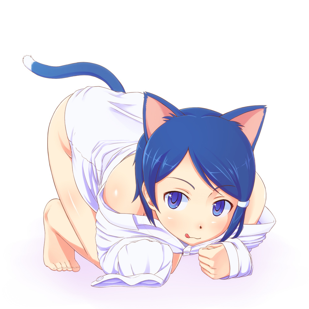 :q, all_fours, animal_ears, bare_shoulders, barefoot, blue_eyes, blue_hair, cat_ears, cat_tail, dress_shirt, idolmaster, kodaman, mizutani_eri, naughty_face, off_shoulder, shirt, short_hair, sleeves_past_wrists, tail, tongue, top-down_bottom-up