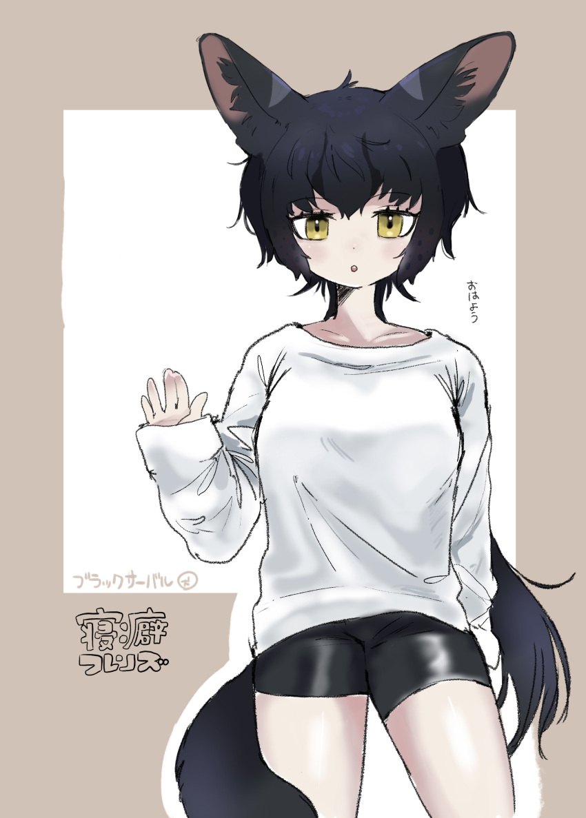 1girl, absurdres, alternate_costume, animal_ears, bike_shorts, black_hair, black_serval_(kemono_friends), black_shorts