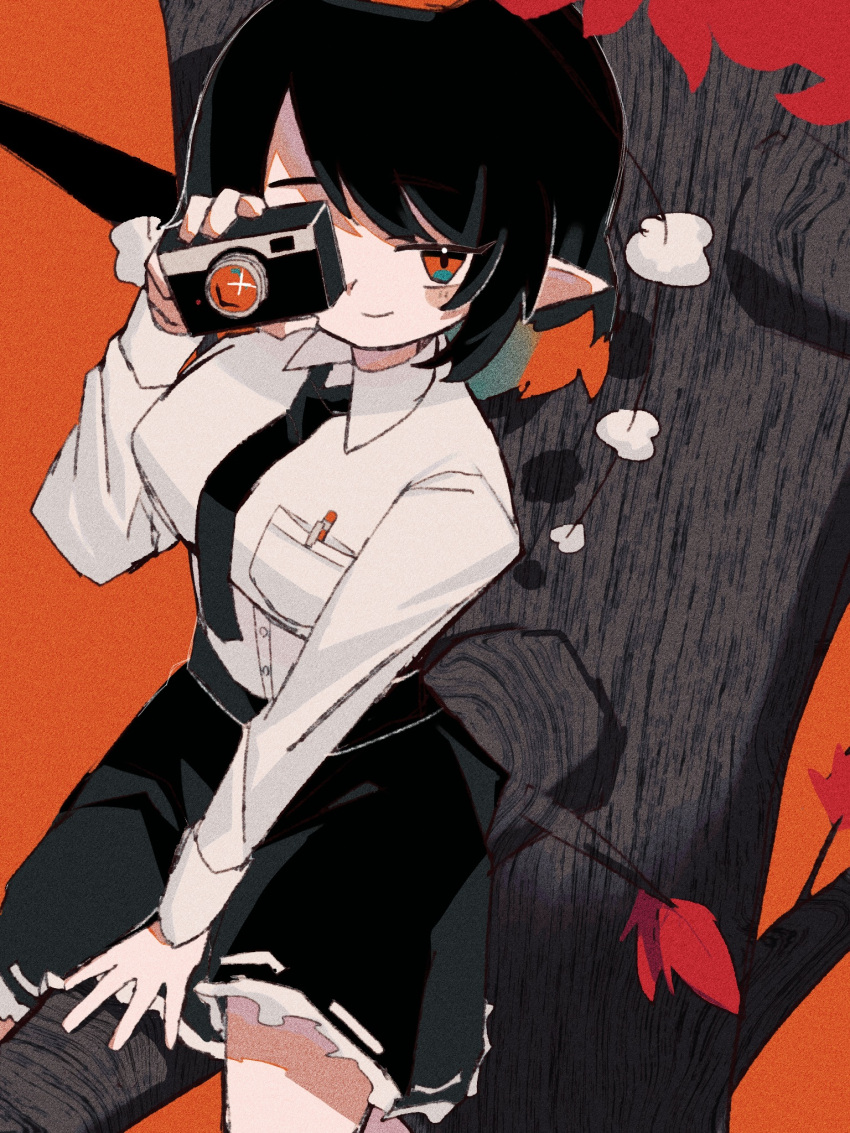 1girl, black_hair, black_necktie, black_skirt, camera, closed_mouth, collared_shirt, commentary