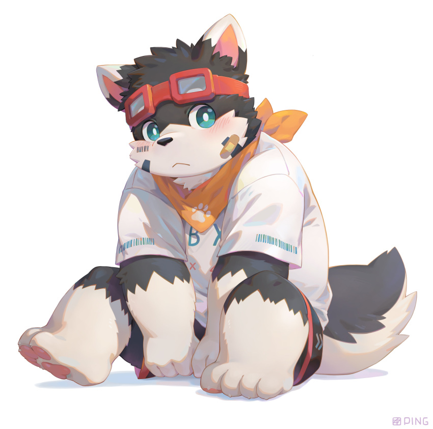 1boy, absurdres, animal_ears, artist_name, bandaid, bandaid_on_cheek, bandaid_on_face, bandana, bandana_around_neck, barcode, blush, commentary_request, dog_boy, dog_ears, furry, furry_male, goggles, goggles_on_head, highres, indie_virtual_youtuber, inugami_kenta, looking_at_another, male_focus, on_floor, paw_print, pawpads, seamonsterping, shirt, sitting, white_shirt, yellow_bandana